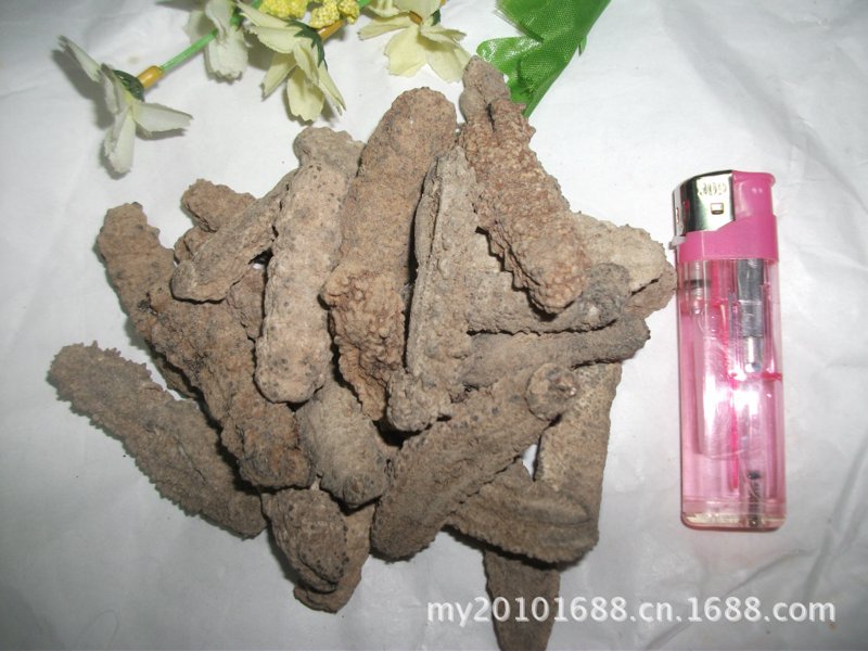 鲍鱼煮几分钟才能熟？专业步骤指南助您精准把控火候