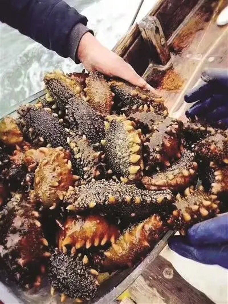 调味品品牌排行榜前十名：2025年市场数据深度解析