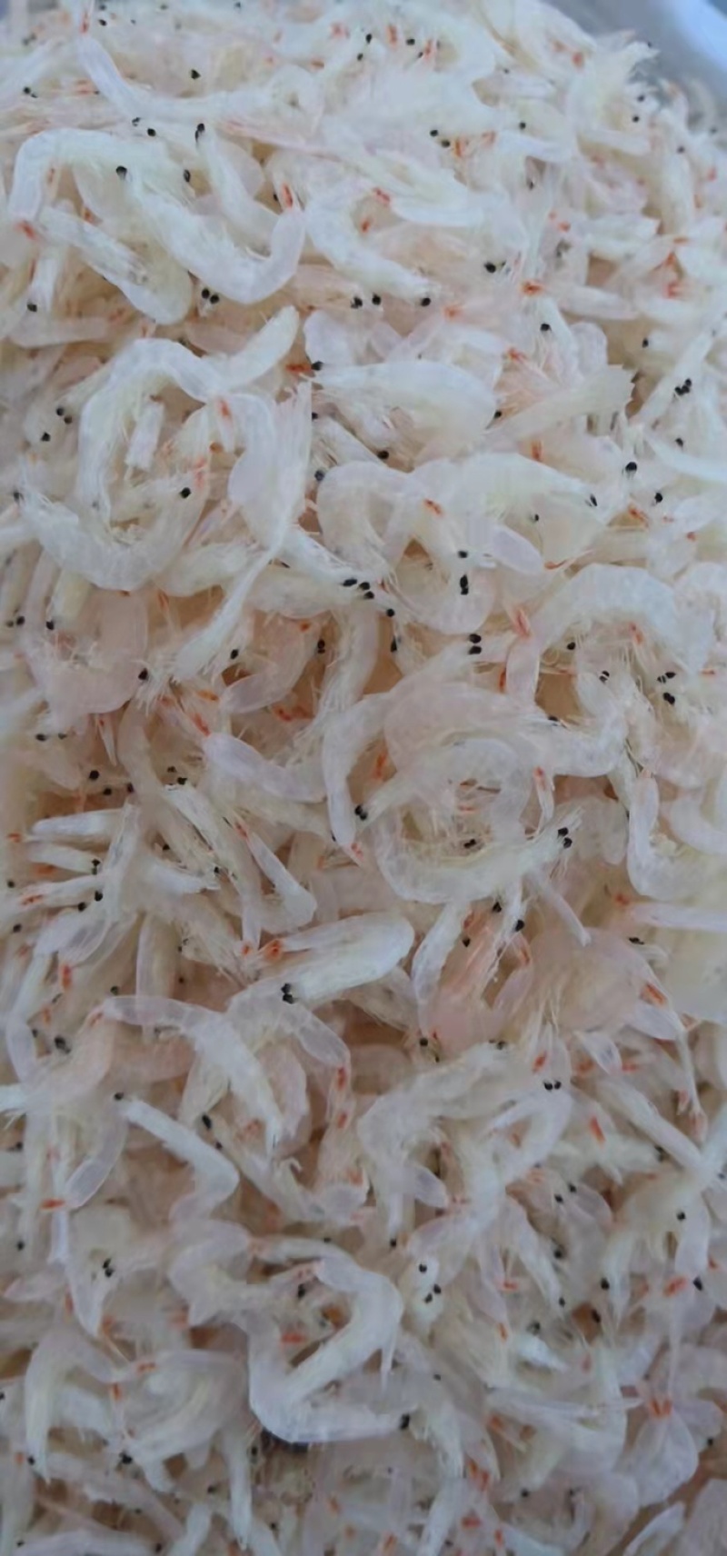 如果家里的食物出现这些情况!!一定要注意了!!!