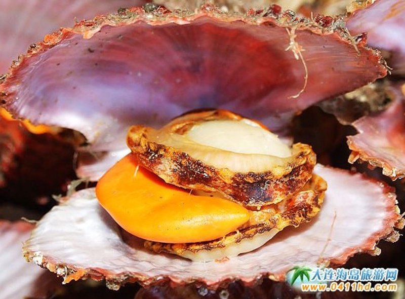 干货是指哪些食物?你可能误解了它的全部含义
